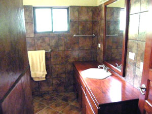 One of the house's 2.5 bathrooms.